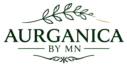 website logo